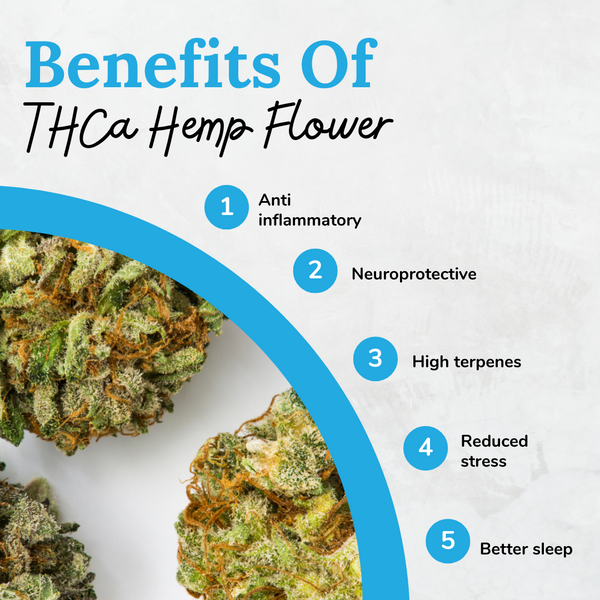 The Benefits of High THCA Flower