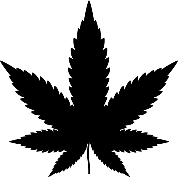 Top 10 Weed Strains In The World | Top 10 Strains Of Weed