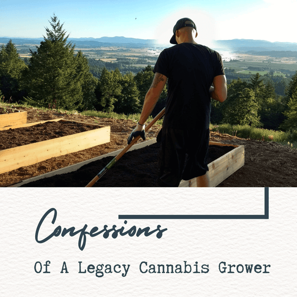 Confessions Of A Legacy Cannabis Grower Turned Premium Hemp Flower Grower