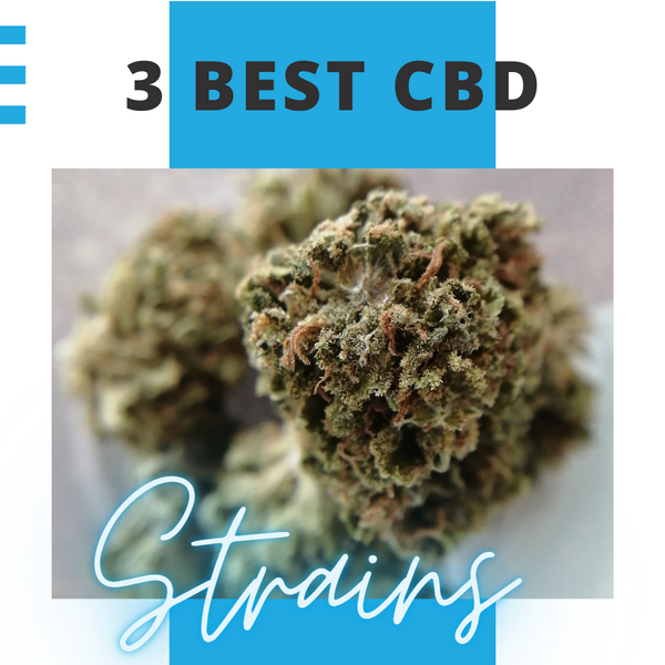 3 Best CBD Strains For Beginner Smokers