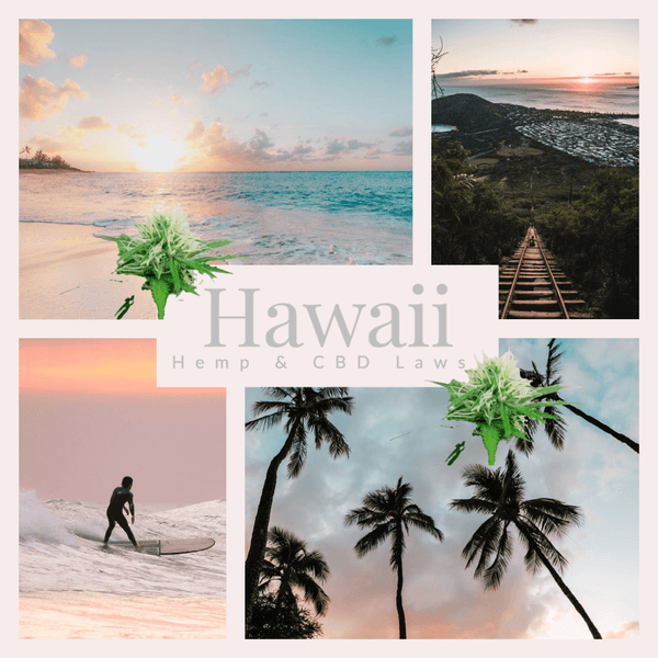 Hawaii Hemp Laws | Legality Of CBD On The Island