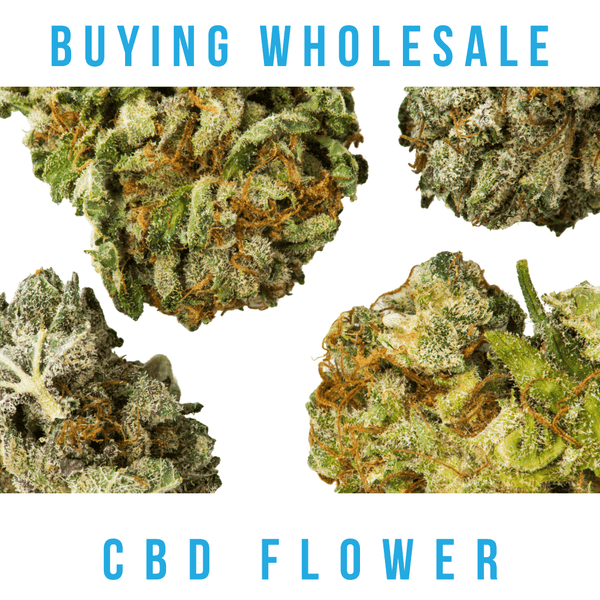 Buying Wholesale CBD Flower