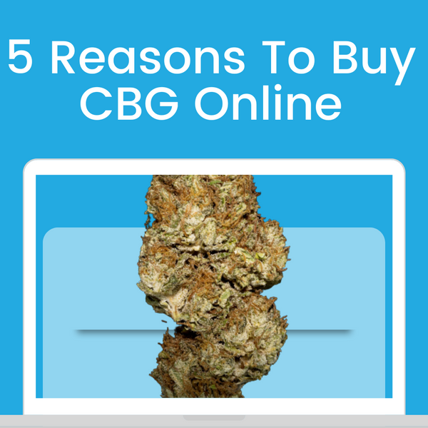 5 Reasons To Buy CBG Flower Online | Is It Better Than CBD?