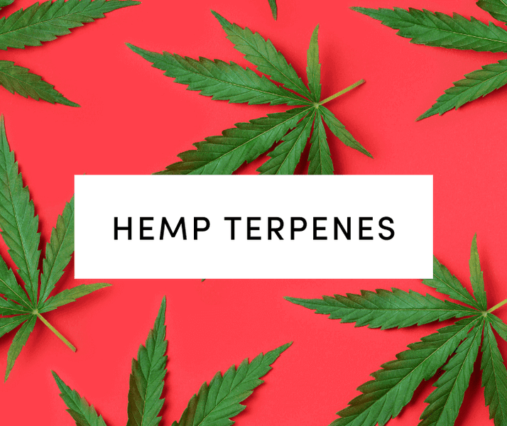 Hemp Derived Terpenes : A Definitive Guide