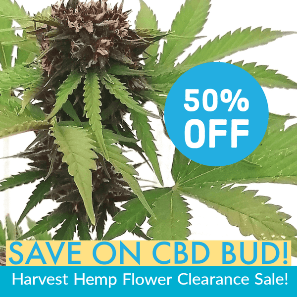 CBD Hemp Flowers For Sale! Harvest Clearance!