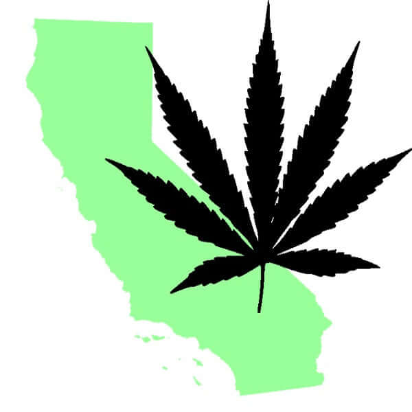 Is It Legal To Grow Hemp In California? Hemp Laws And More