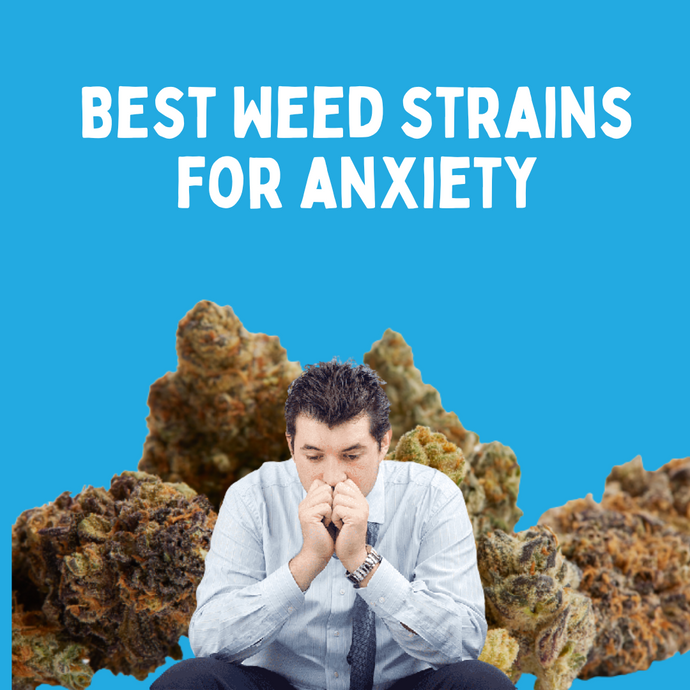 7 Best Weed Strains For Anxiety