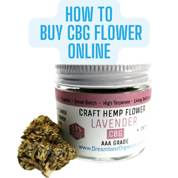 Where To Buy CBG Flower Online