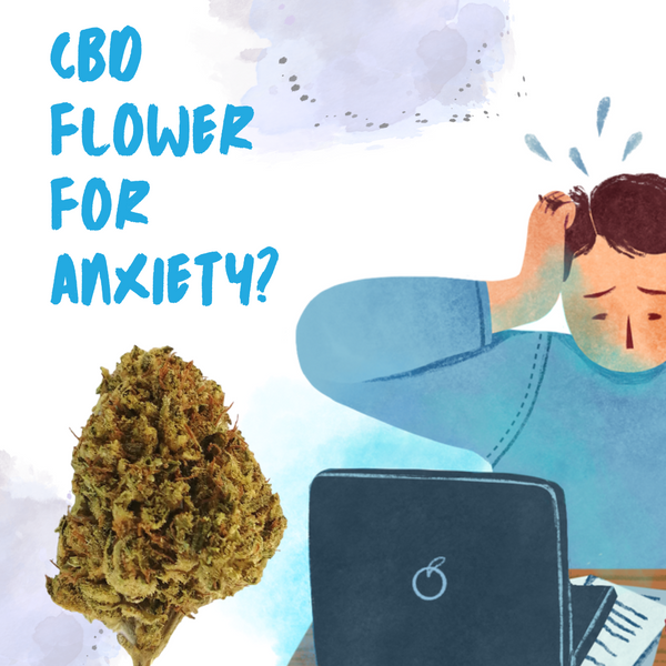 3 Best CBD Strains For Anxiety
