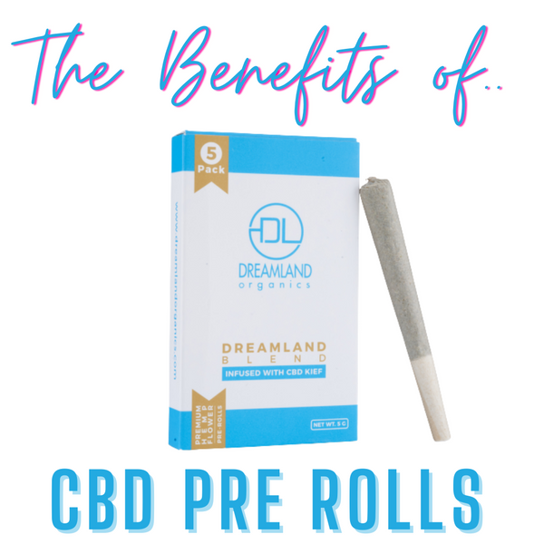 Can Pre Rolled CBD Cigarettes Help Me Quit Smoking? | CBD Pre Roll Benefits