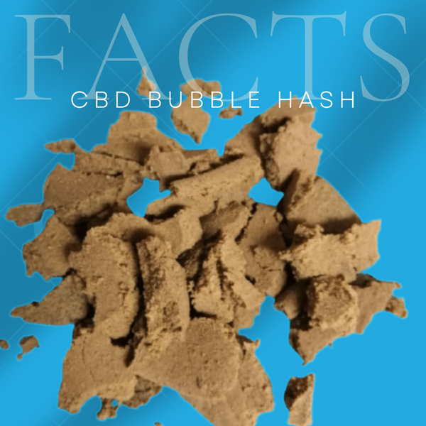 CBD Hash : Is CBD Bubble Hash Really Stronger Than Regular CBD Flowers?