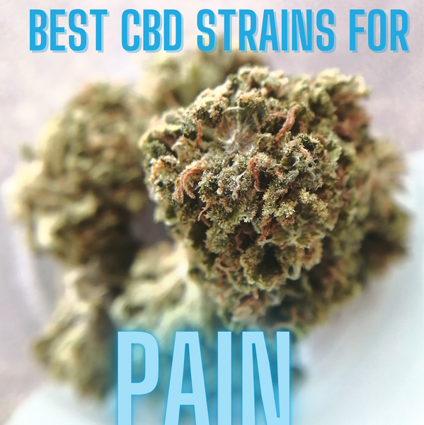What Is The Best CBD Strain For Pain and Inflammation?