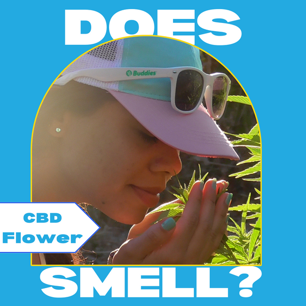 Does CBD Smell Like Weed?