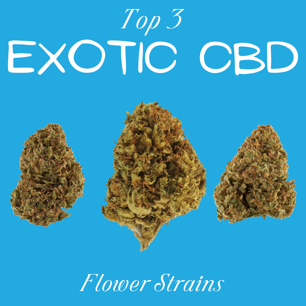 Top 3 Exotic CBD Flower Strains: Immortal, Eden, and Green Dream