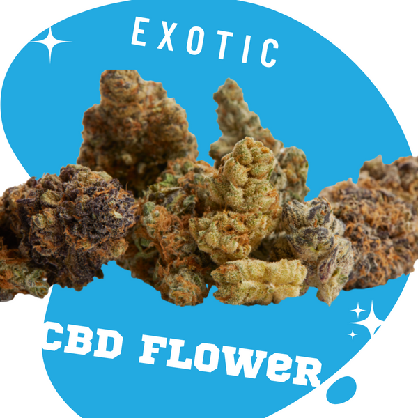 What Is Exotic Hemp Flower? 3 Best Exotic CBD Flower Strains