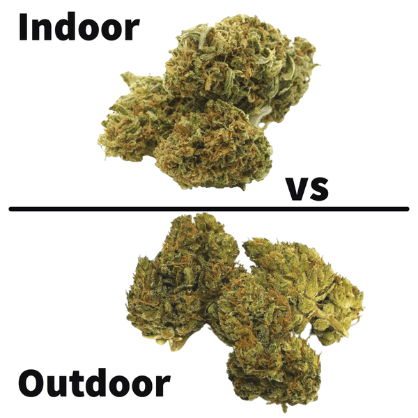 The Great Debate : Indoor Vs Outdoor Nugs