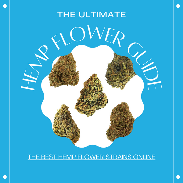 The Ultimate Guide To Hemp Flower Strains