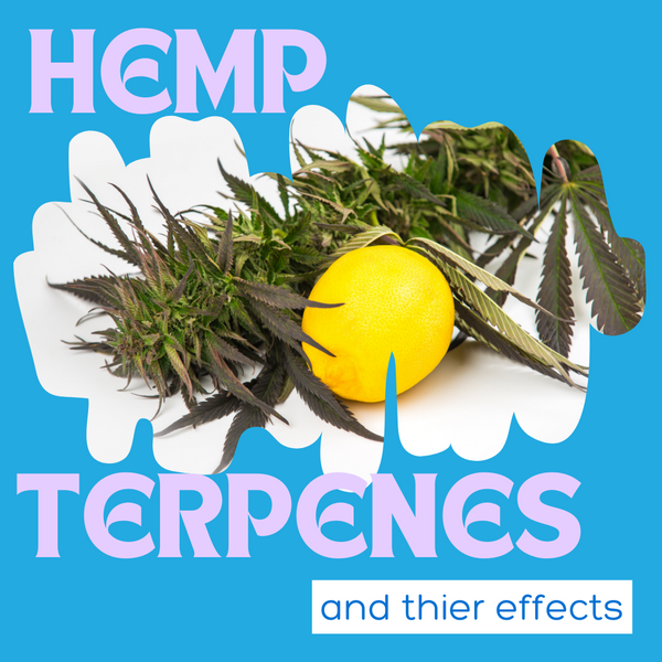 The Therapeutic Effects Of Hemp Terpenes