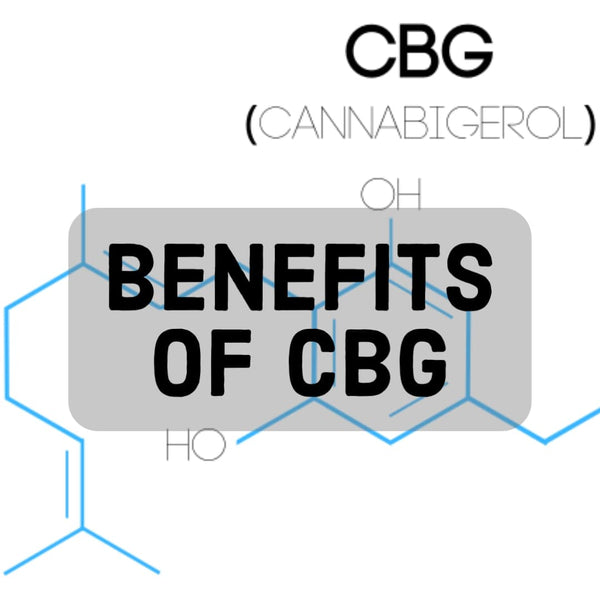 CBG Flower Benefits | 10 Health And Medical Benefits Of CBG (Cannabigerol)