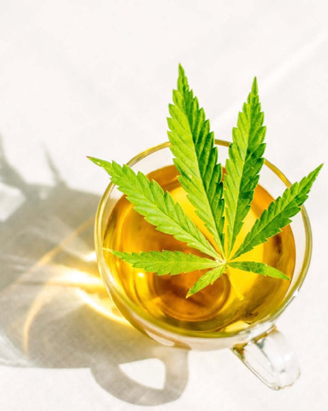 Hemp Tea Benefits And How To Make It