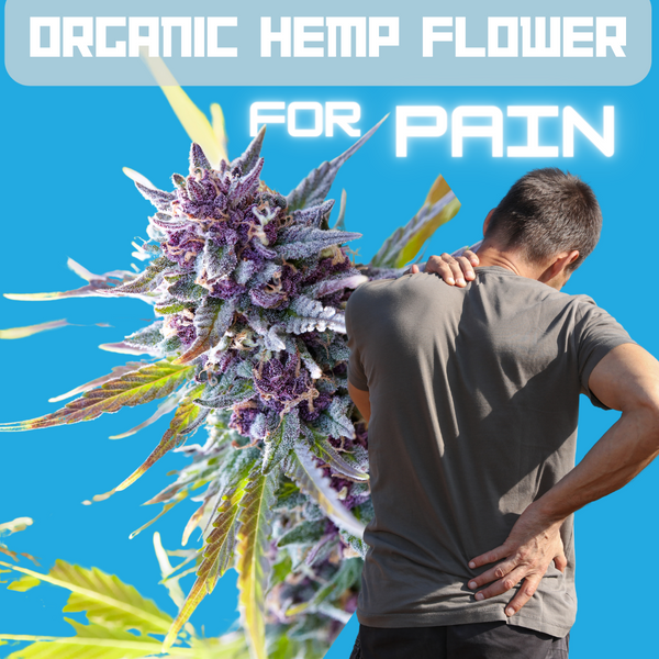 The Benefits Of Using Organic Hemp Flower For Pain Relief