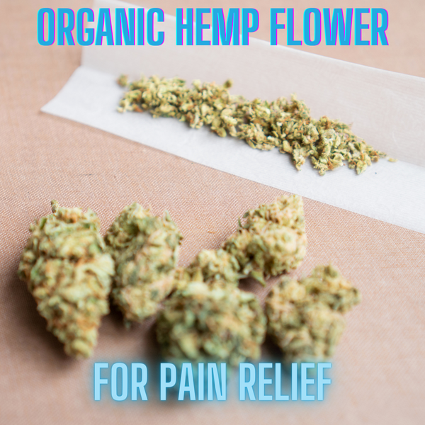 The Benefits of Organic Hemp Flower for Pain