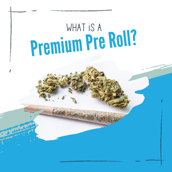 What Is A Premium Pre Roll?