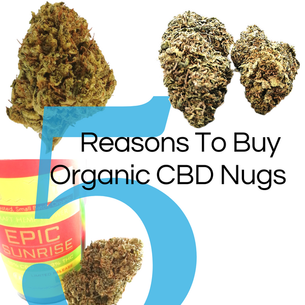 5 Reasons To Buy Organic CBD Nugs | Organic Hemp Flower Benefits