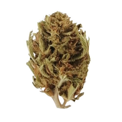 budget thca flower