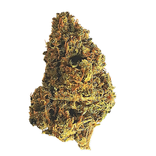 high thca flower