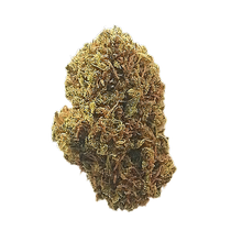 Load image into Gallery viewer, belladonna organic cbd nug
