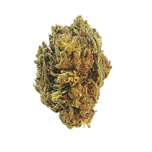 Load image into Gallery viewer, exotic hemp flower lb
