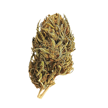 Load image into Gallery viewer, Budget Organic Hemp Flower - Cheap CBD Flower Oz
