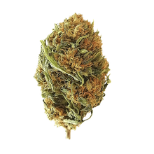 Load image into Gallery viewer, Budget Organic Hemp Flower - Cheap CBD Flower Oz
