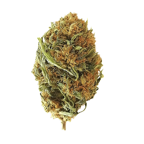 CBG flower lb