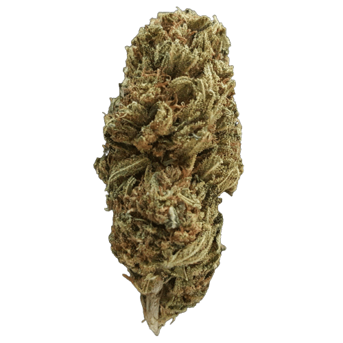 sapphire hemp strain