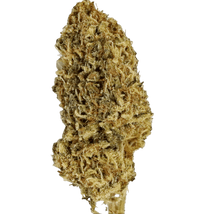 Load image into Gallery viewer, tropical dream hemp strain

