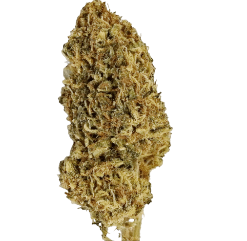 tropical dream hemp strain