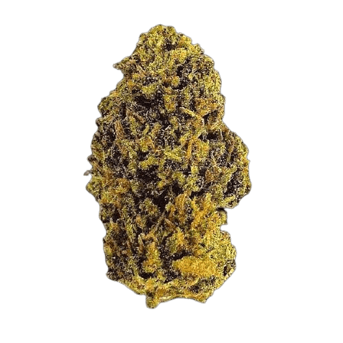 cannoli strain