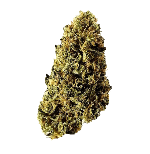 Sheeba CBD flower