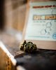 How To Find Hemp Flowers For Sale Online | Hemp Nugs